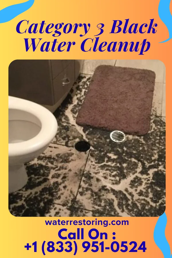 Category 3 Black Water Cleanup in Monmouth, IA
