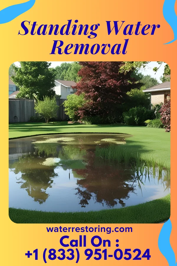 Standing Water Removal in Monmouth, IA